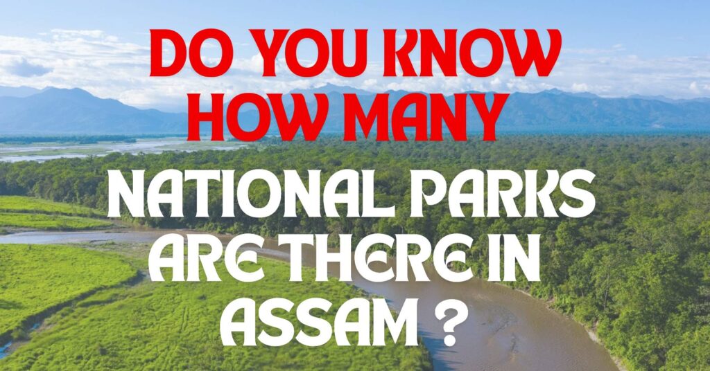 How Many National Park in Assam ?